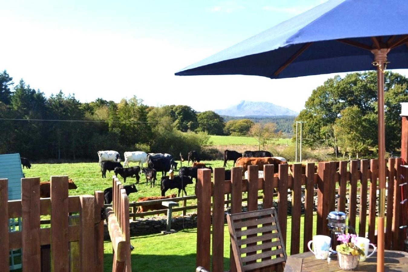 Holiday home Siabod, Betws Y Coed, Snowdonia 2 En-Suite Bedrooms Betws-y-Coed