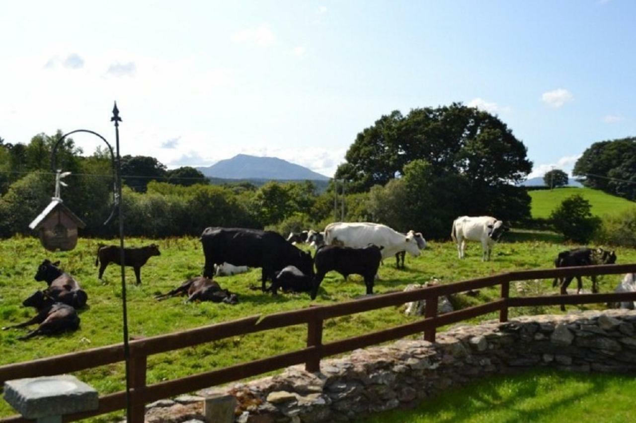 Siabod, Betws Y Coed, Snowdonia 2 En-Suite Bedrooms Holiday home Betws-y-Coed